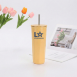 Stainless Steel Insulated 25oz Tumbler Cup