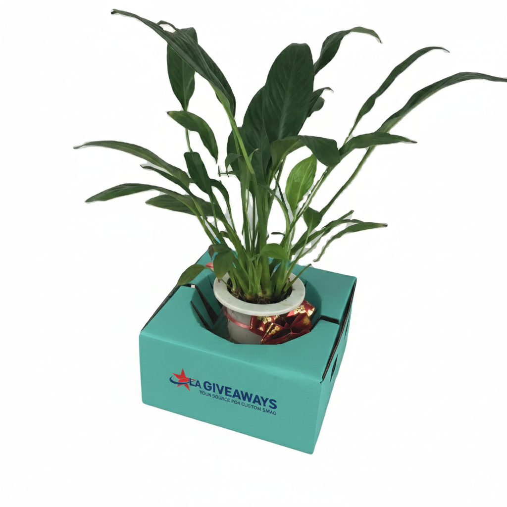HD-DP-Esh-03 Plant Pot Florist Supplies Flower Vase Customized Box - Image 1